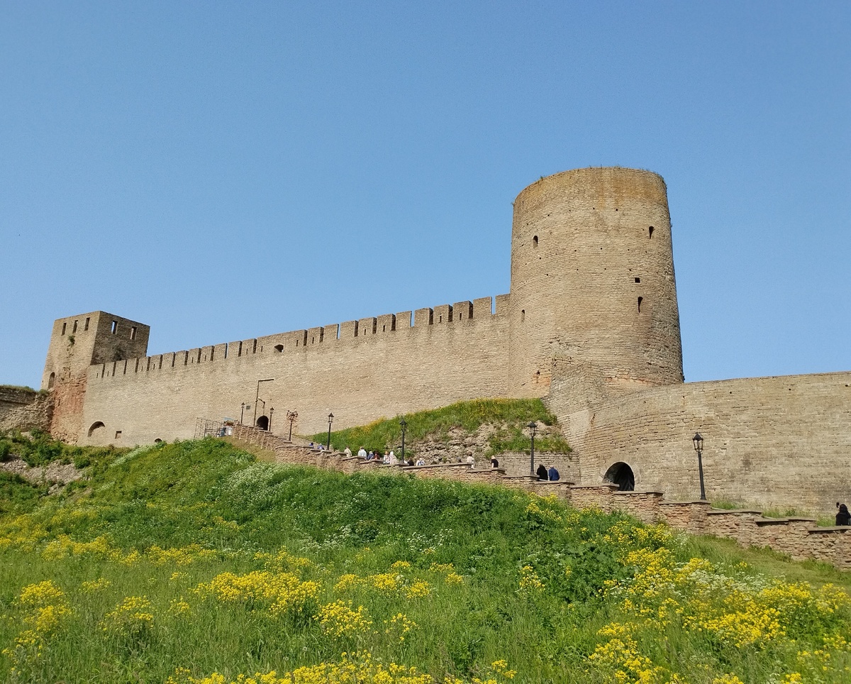 Фото автора