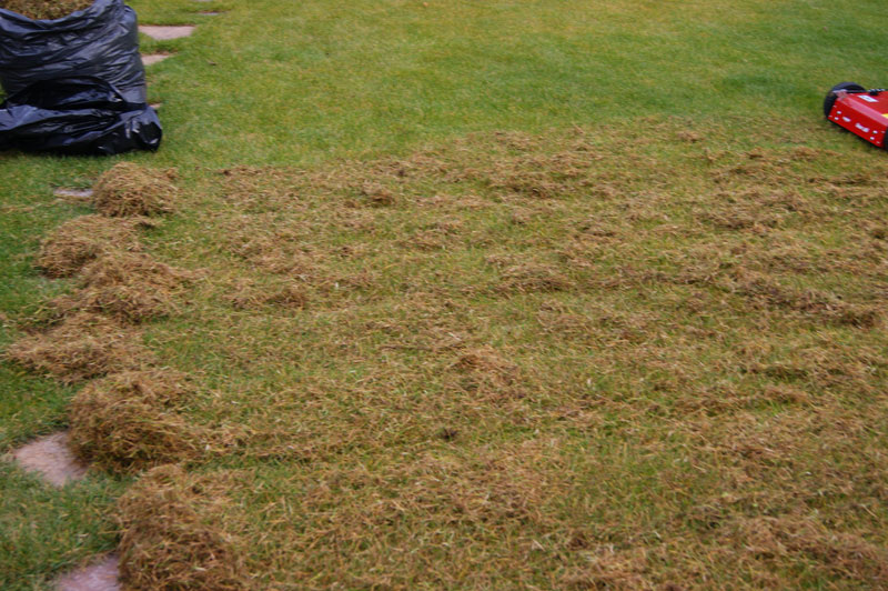 процедура скарификации