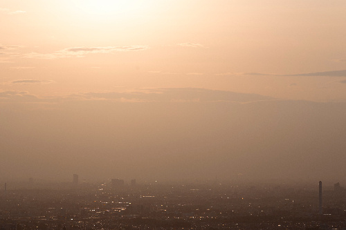    Фото: freepik. com