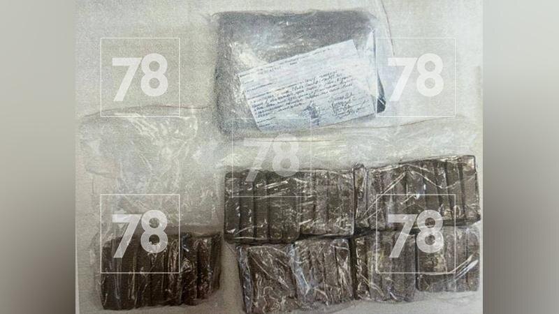    Фото: пресс-служба судов Ленинградской области