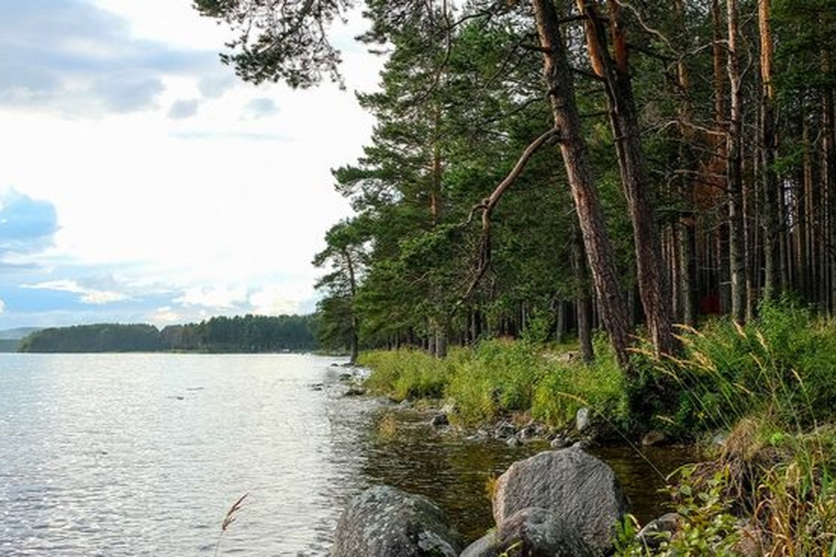    Фото: Игорь Агеенко, источник: ria.ru