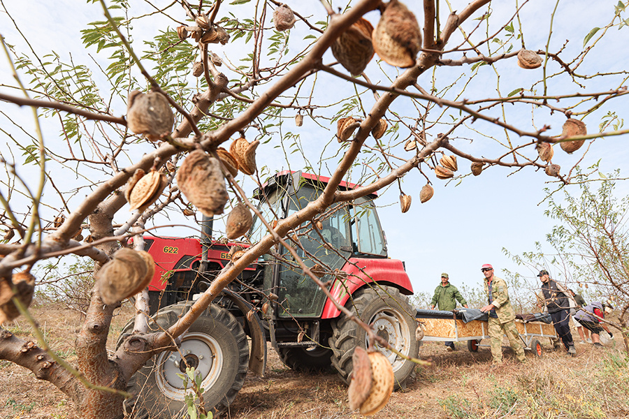    © Сергей Мальгавко/ТАСС