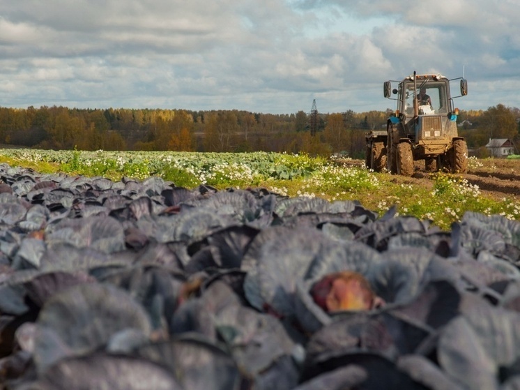     Фото ivteleradio.ru