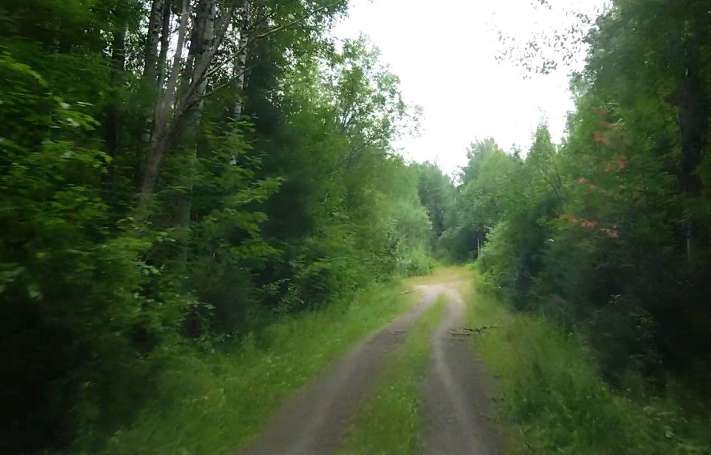    Фото: Ульяна Бажанова Ульяна Бажанова