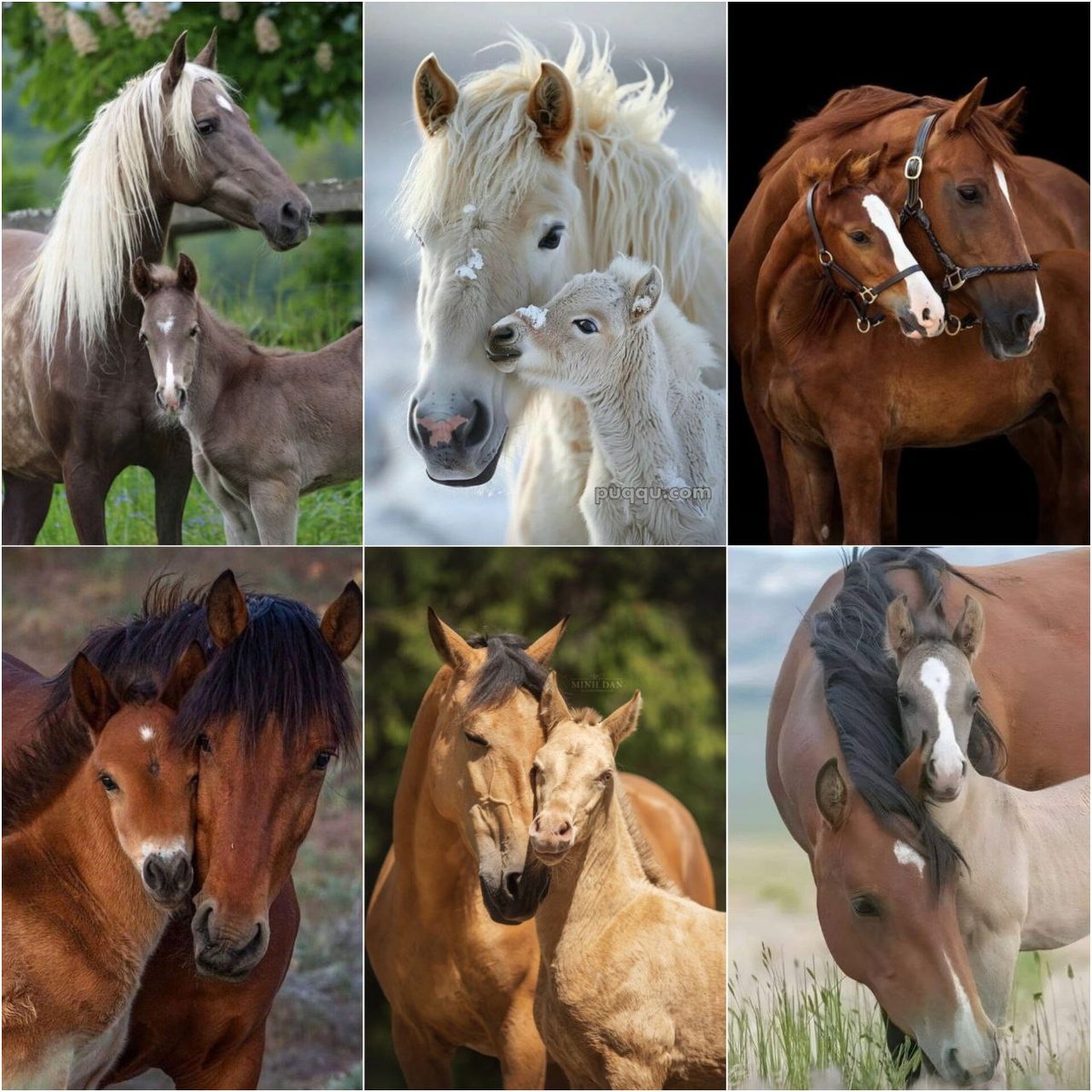 Подборка фотографий с сайта Pinterest