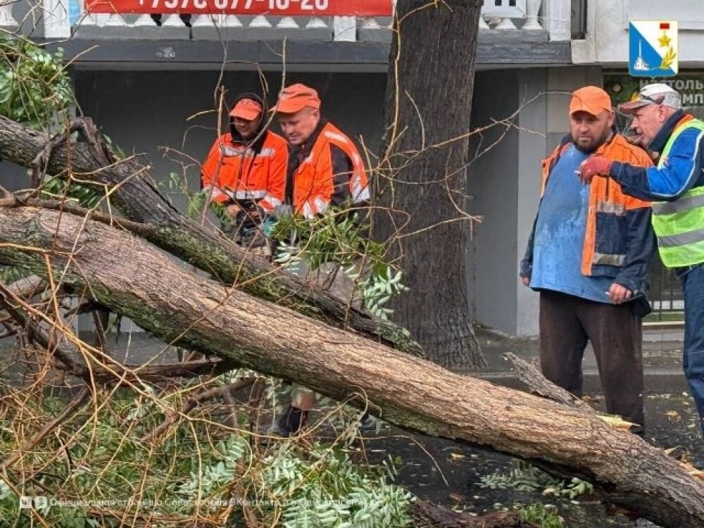    На месте работают «Парки и скверы» и «Севавтодор». Фото: Правительство Севастополя