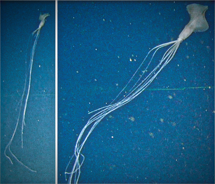 Магнапинна на глубине 2км