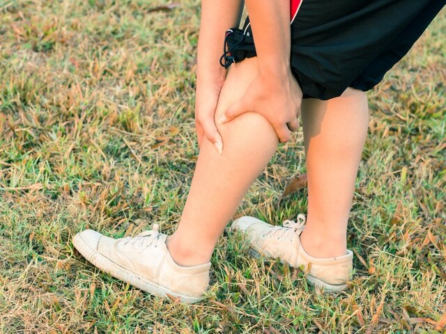    Фото: 123RF/benjamas11