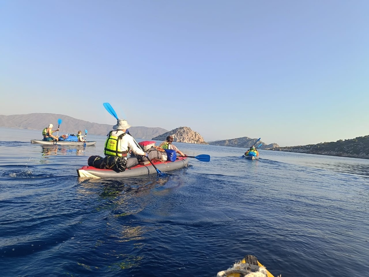 Автор фото: Альбина Мурзашева