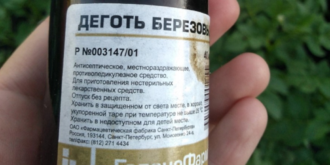 Как избавиться от мышей, зайцев и кротов: как берёзовый дёготь избавит вас от вредителей