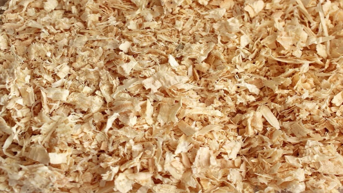 Как избавиться от мышей и кротов: как берёзовый дёготь избавит ваш участок от вредителей