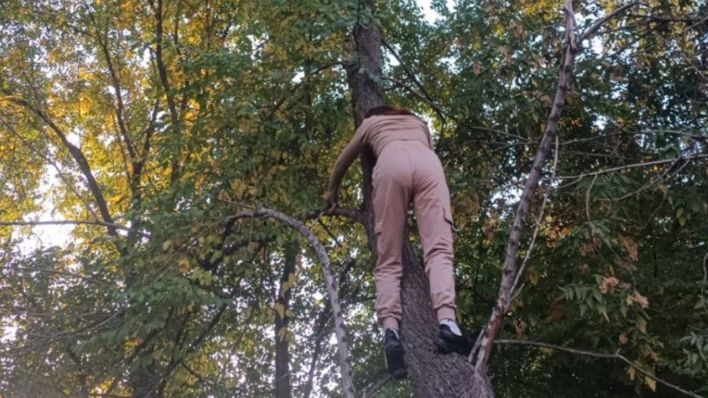    Фото: ТГ-канал "Спасатели МАСС"