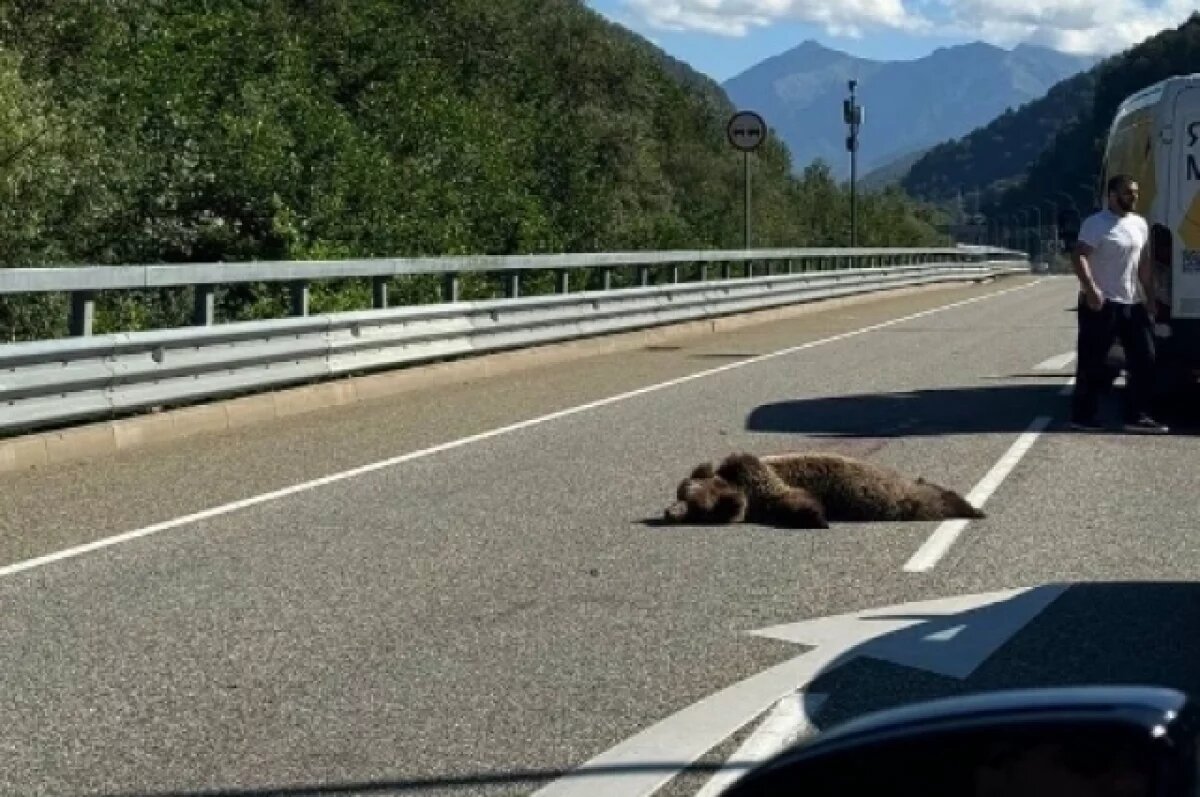    Появился внезапно.