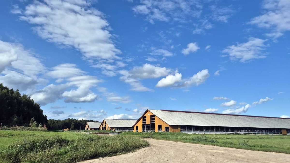Так выглядят коровники "ЭкоНивы"