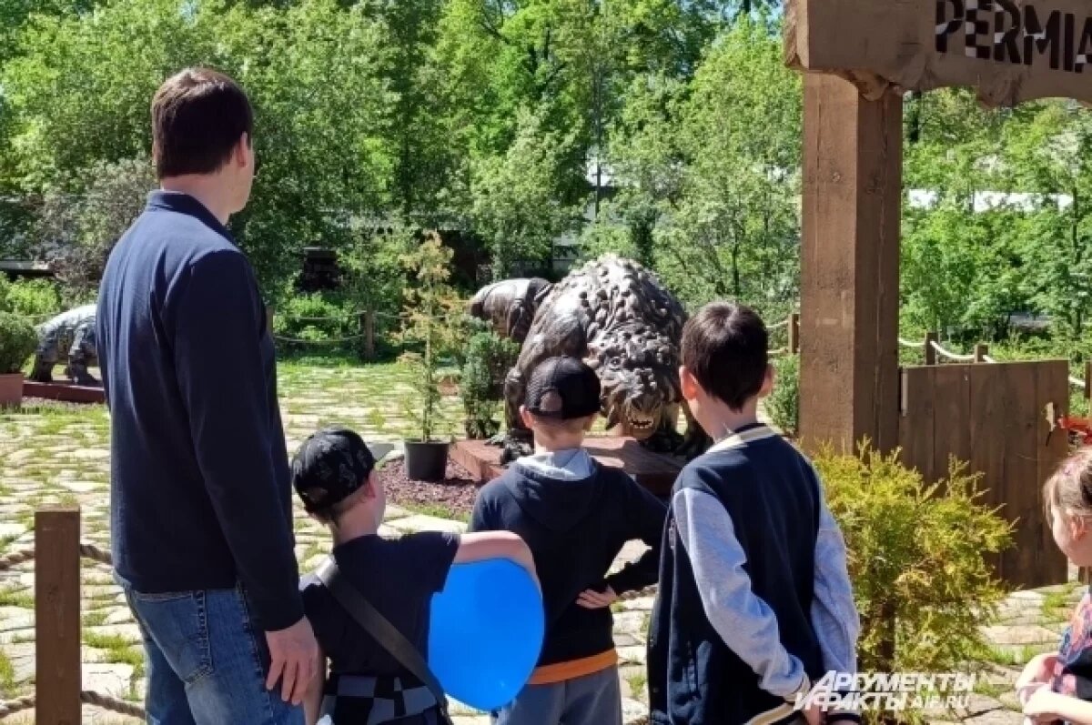    «Ничего не куплено».