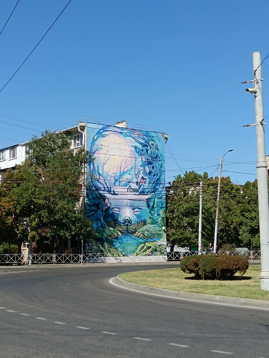 Вот такие графитти, я люблю в городах. Краснодар. Осень 2025 года.