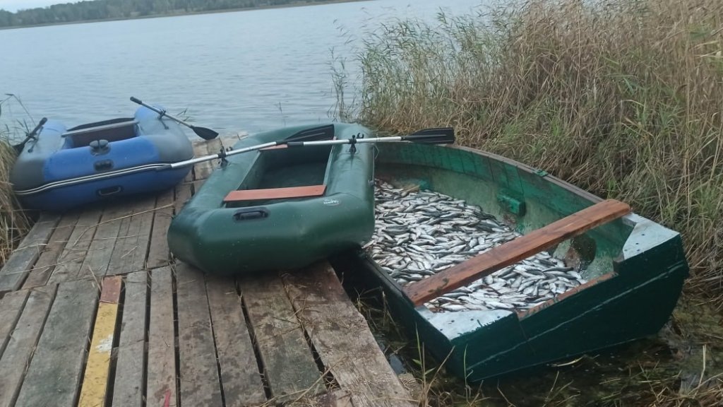    Фото: официальный тг-канал ГУ МВД России по Челябинской области