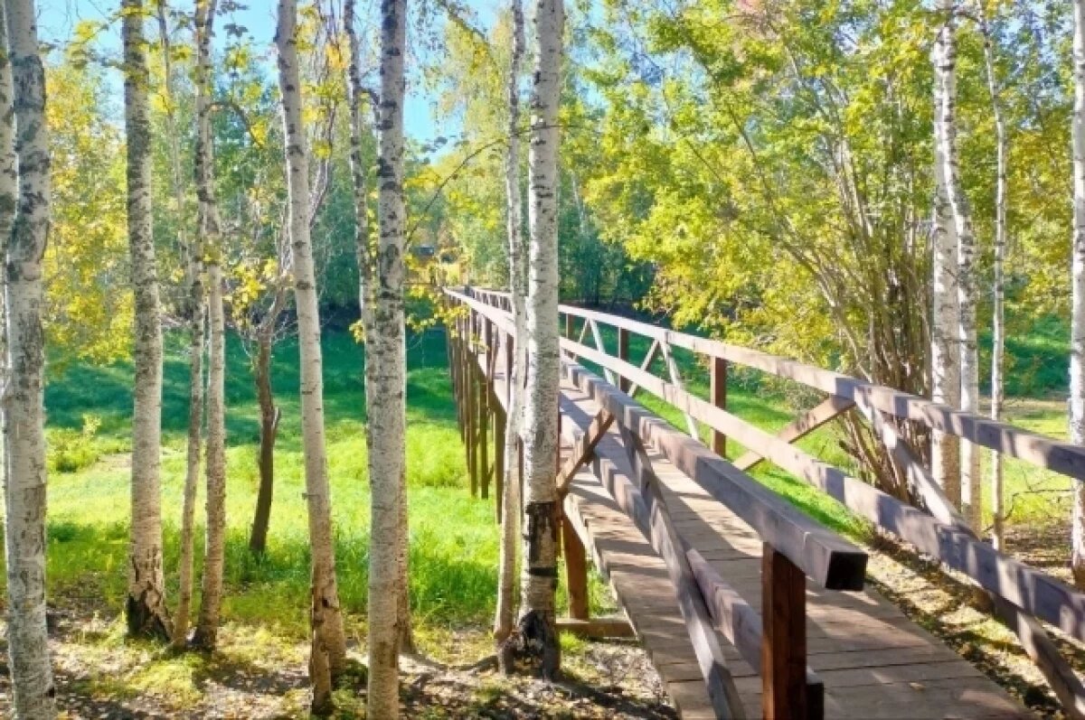    Памятник природы «Луговские мамонты» открыл двери для посетителей