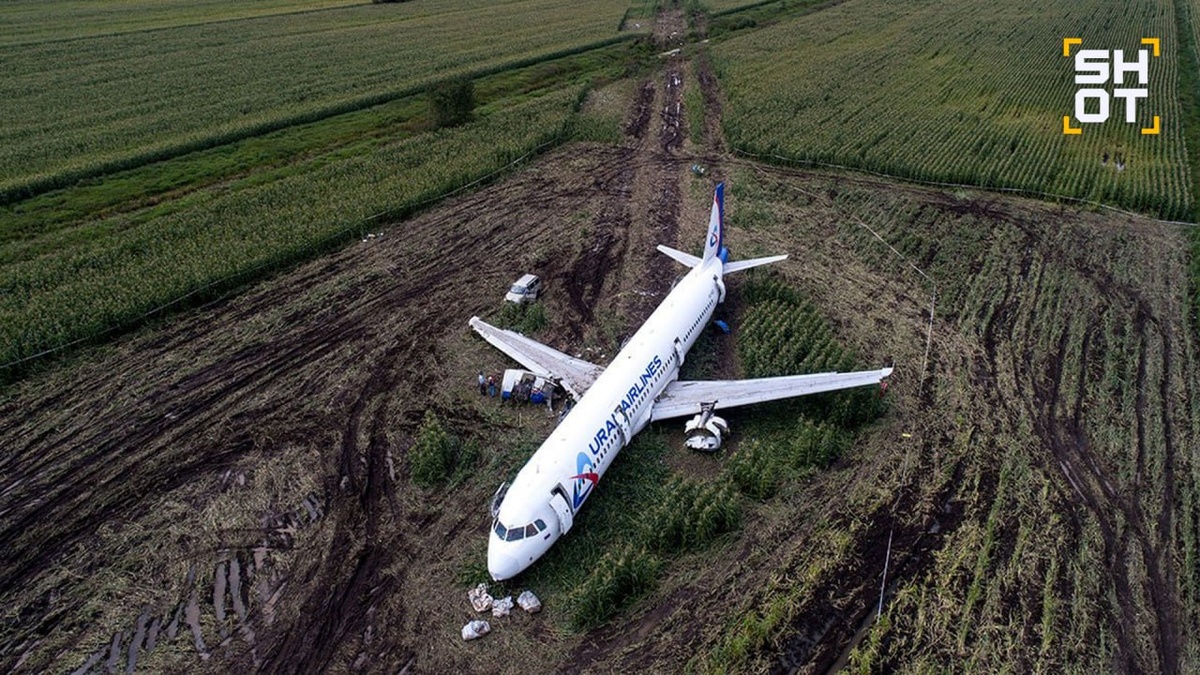    Фото: Telegram/Shot