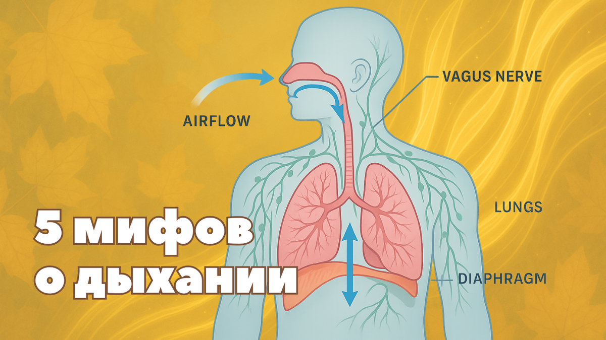 5 мифов о дыхании
