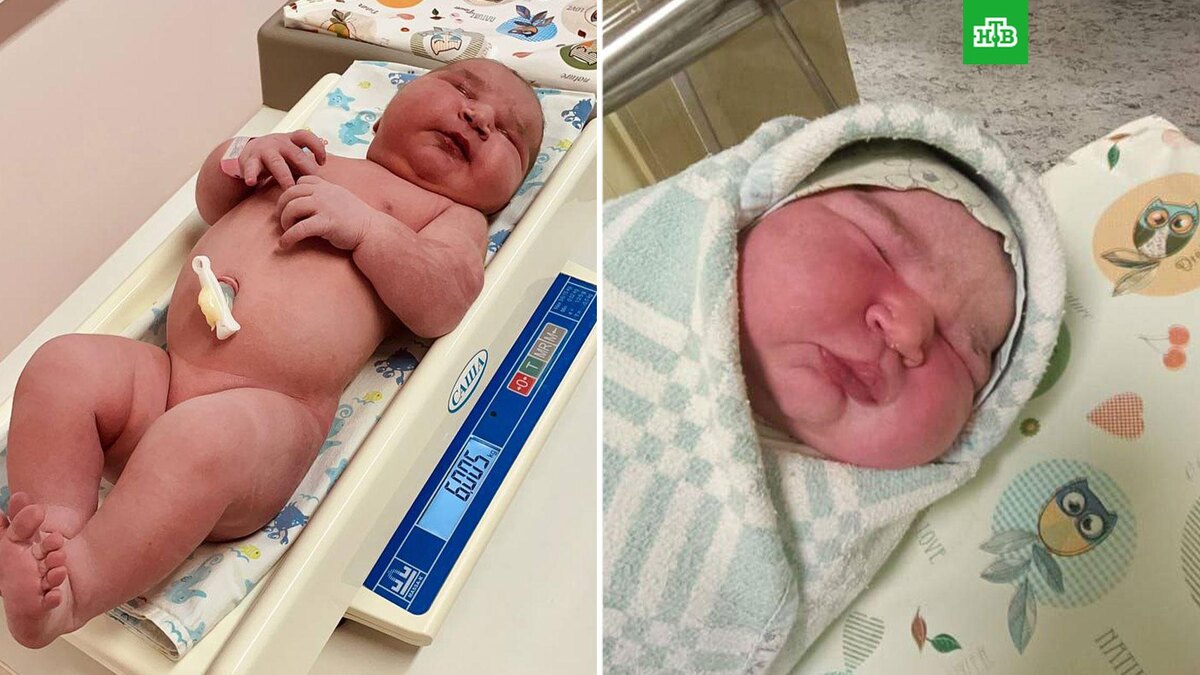    Фото: annamarkova_doc48 / t.me