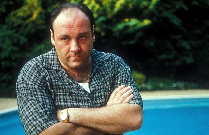 Фрагмент из сериала "Сопрано"