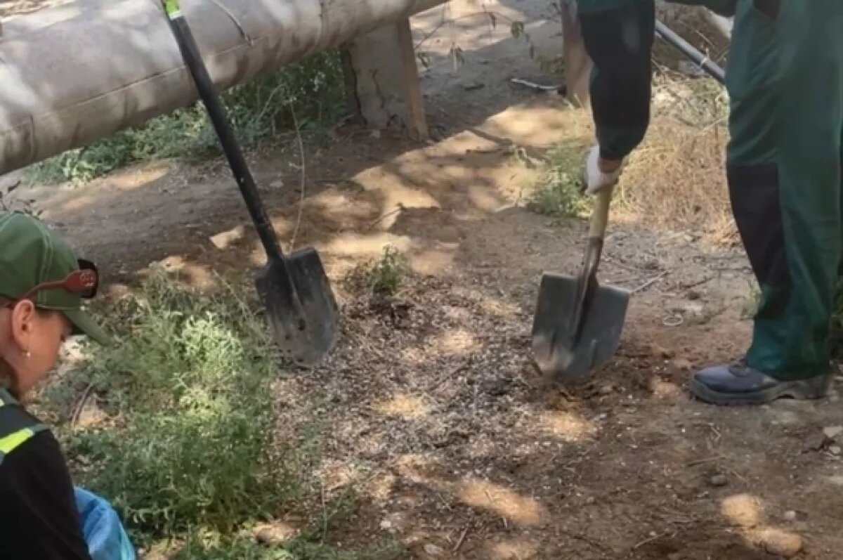    Суд обязал Астрводоканал возместить ущерб за залитые фекалиями дворы