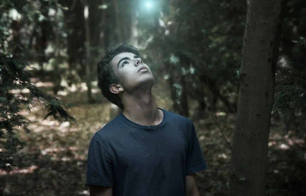 Яндекс картинки