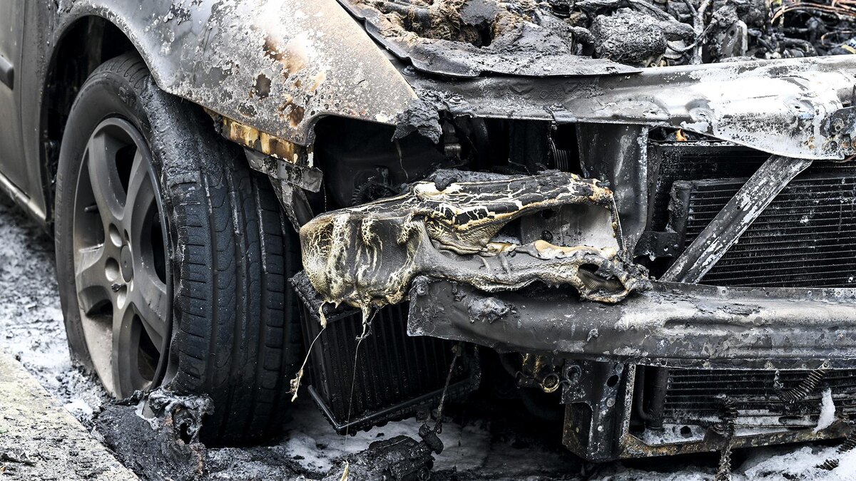    Фото: Jens Kalaene/globallookpress.com