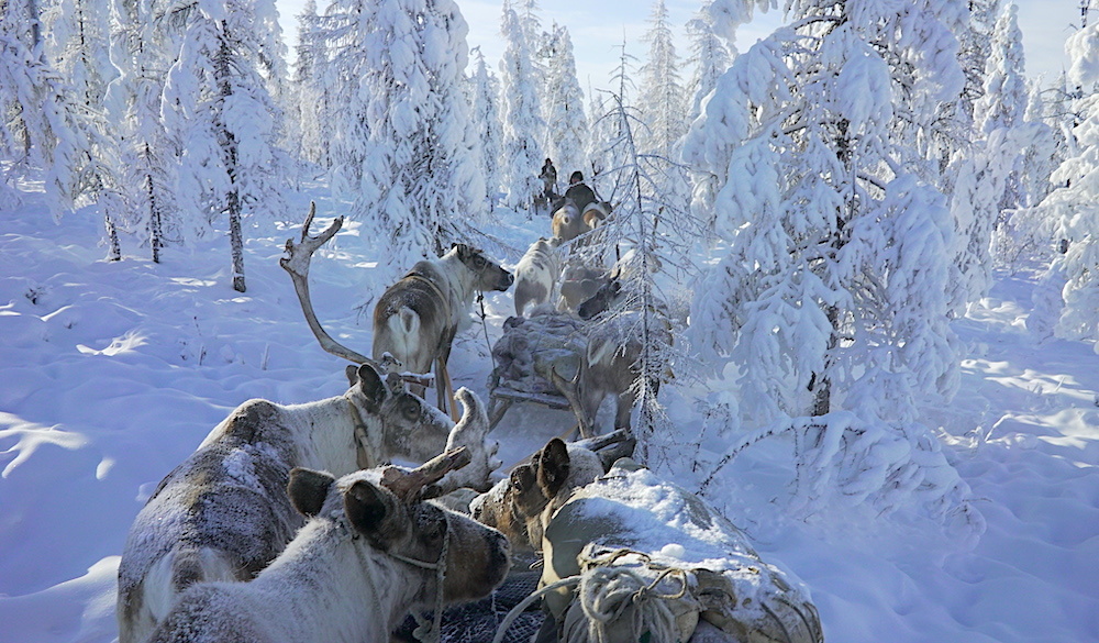 Фото: Леонид Круглов / Фотобанк ПОРА