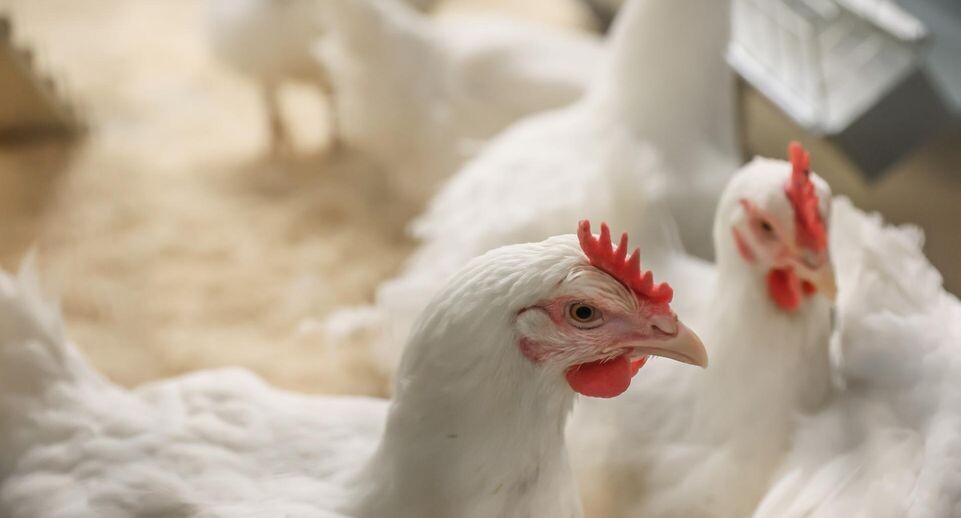    Медиасток.РФ