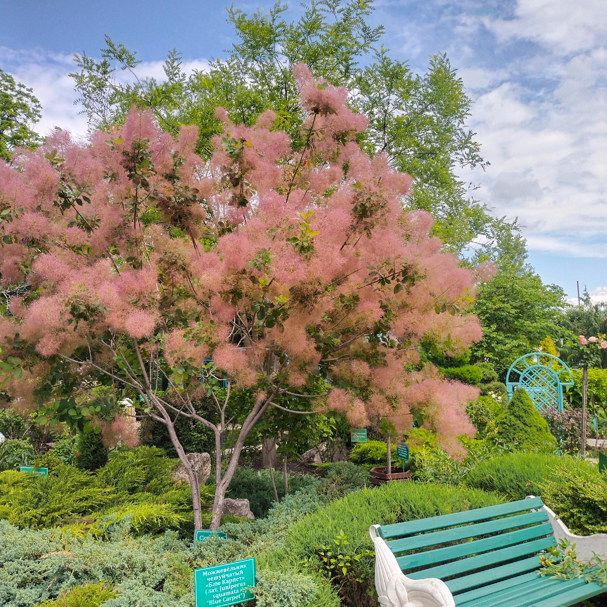 Фото автора канала