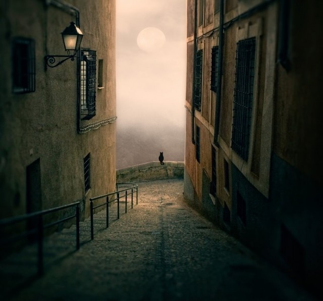 Фотограф Луис Бельтран