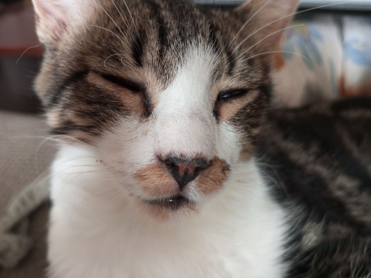 Щас усну прямо здесь!