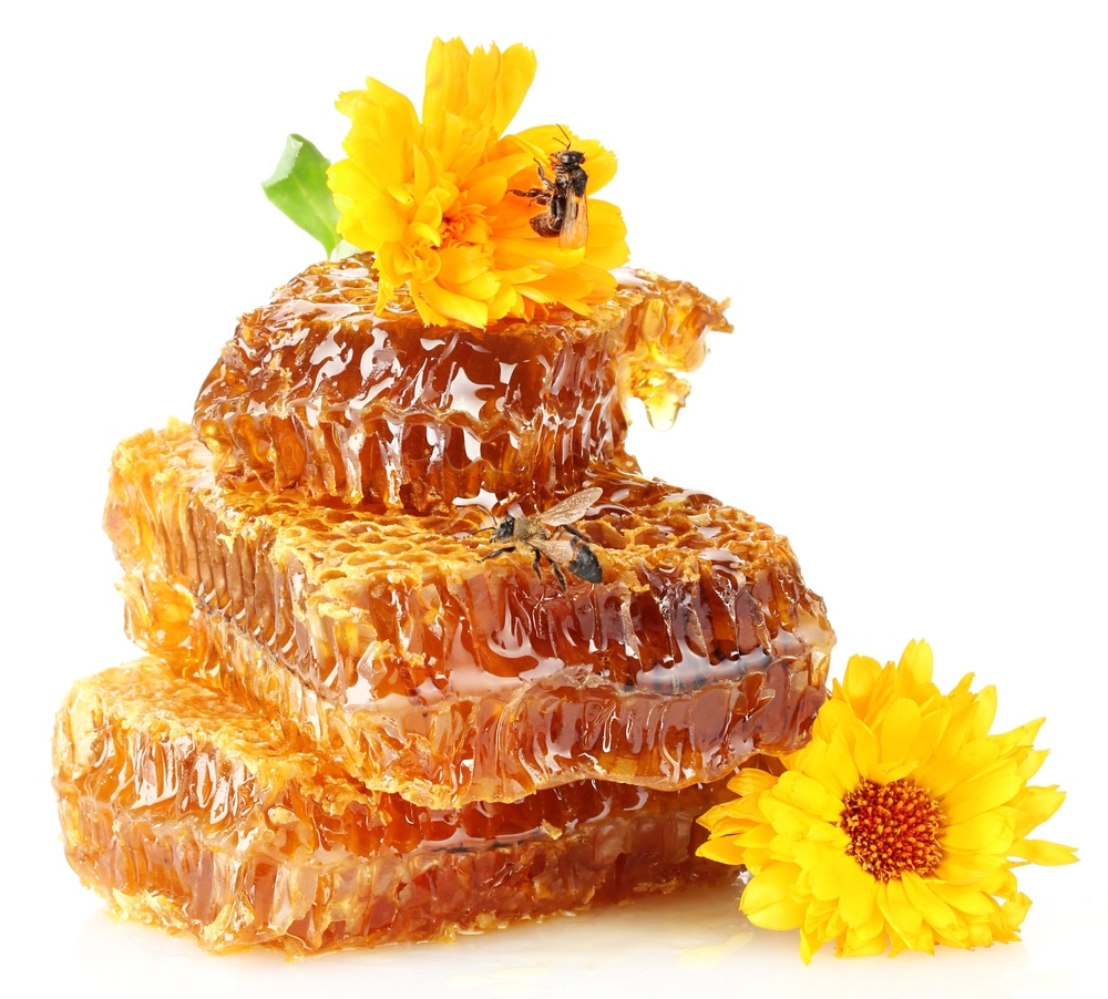 Антибактериальные свойства меда