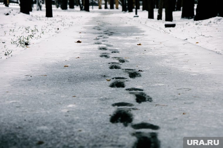Когда в Москву придет первый снег: прогноз синоптика