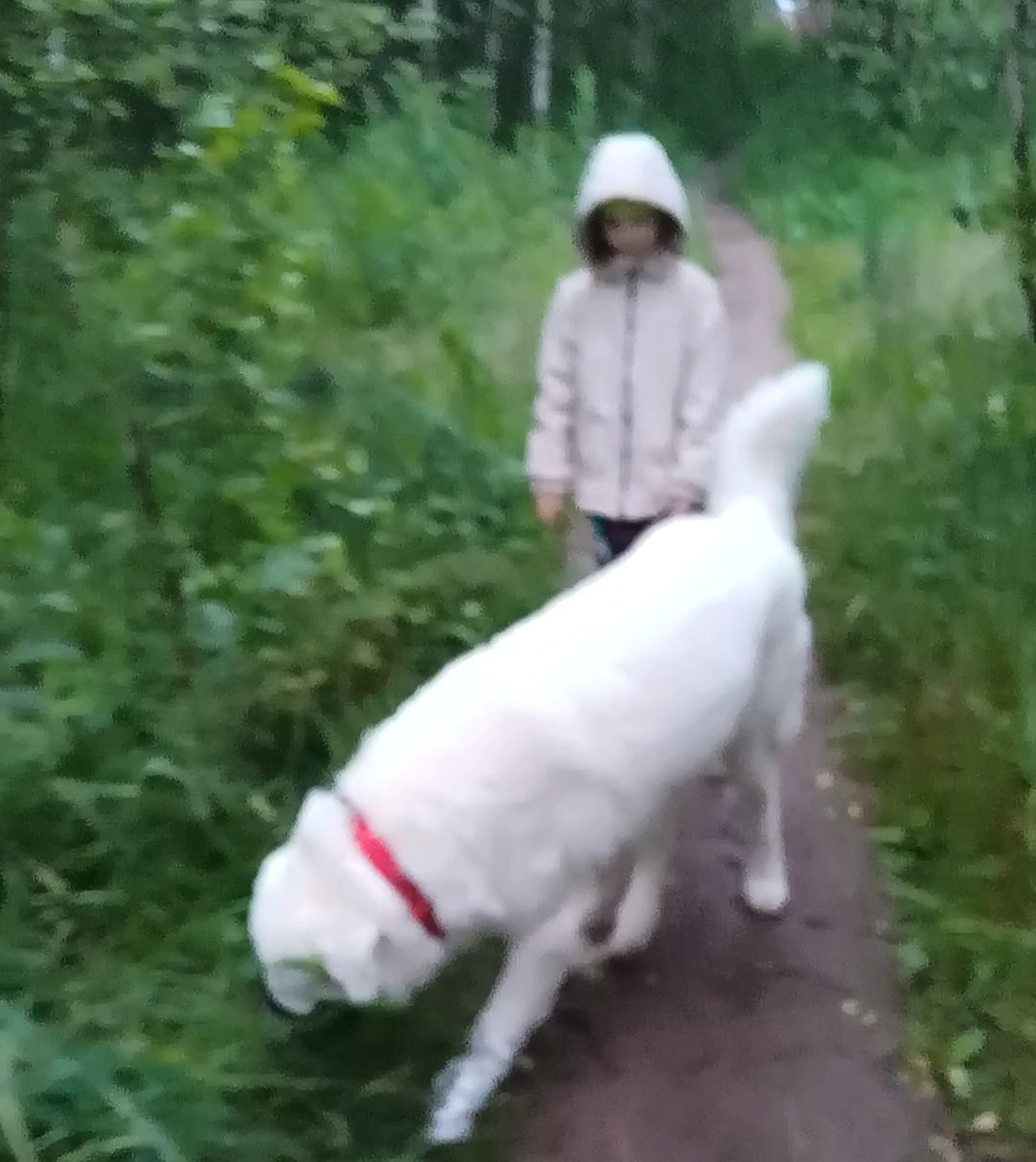 Граф на прогулке 