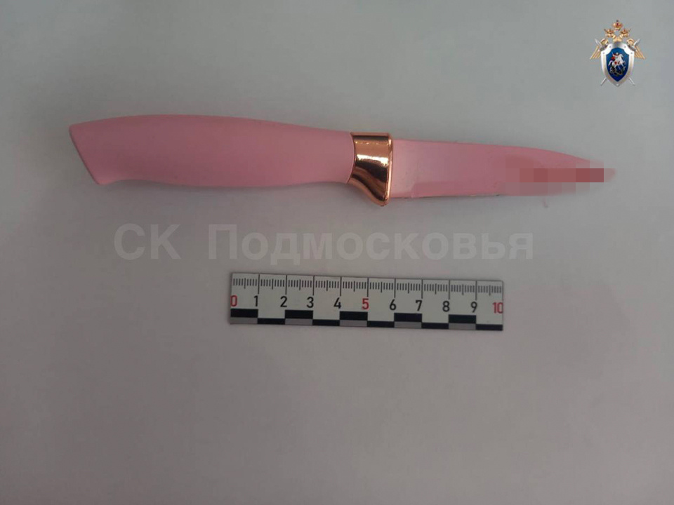     Фото: СК России по Московской области