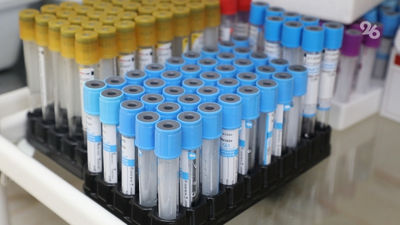      Фото: ИА «Победа26»