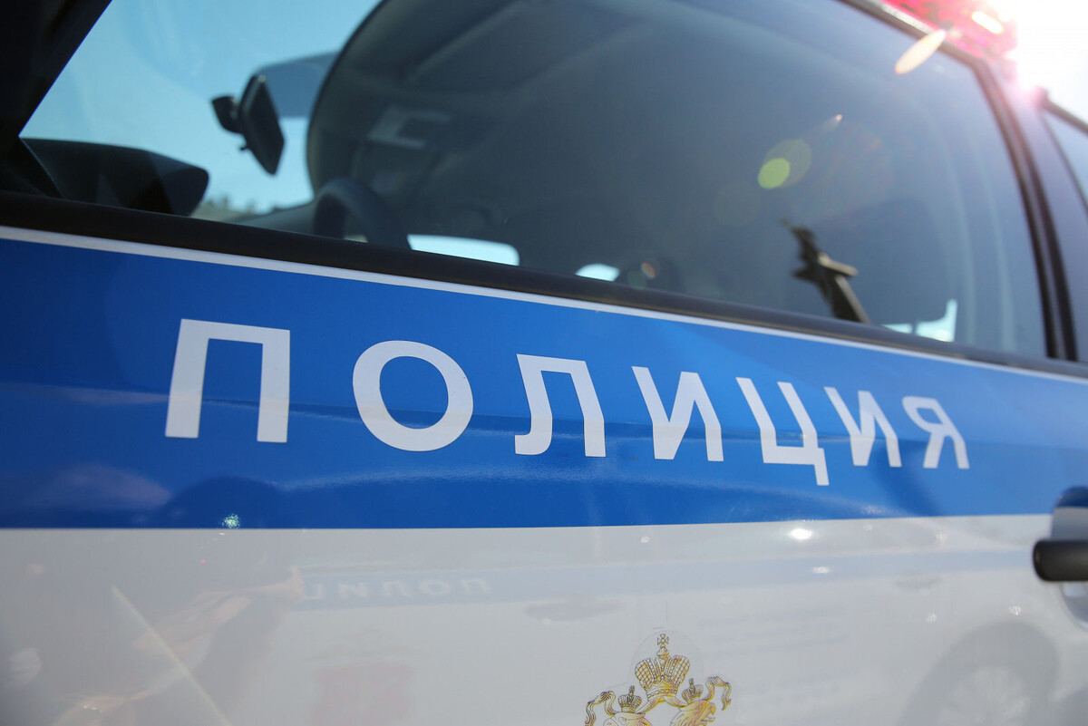 Фото: Дмитрий Фуфаев / «Петербургский дневник»