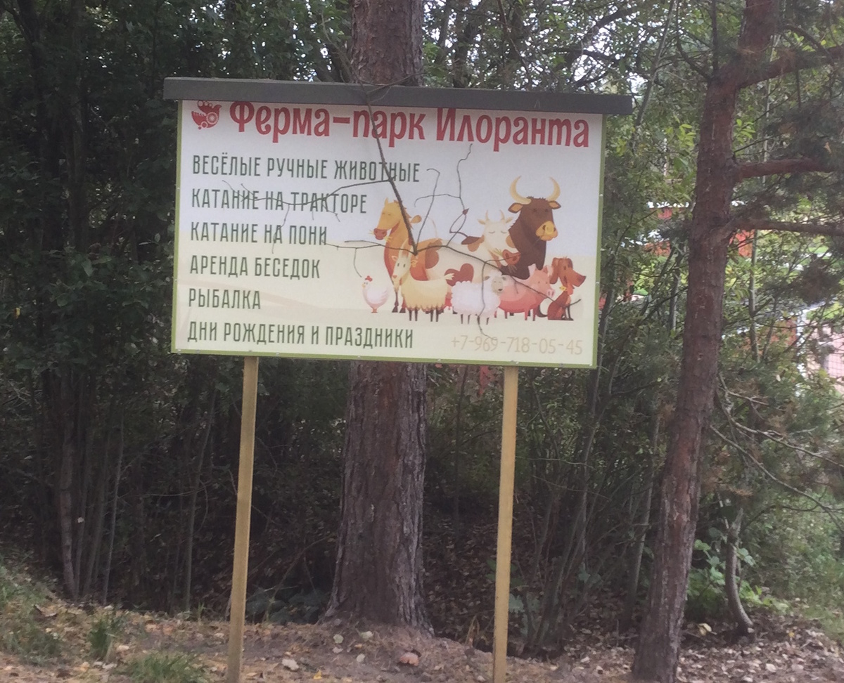 Ферма-парк приглашает посетителей всех возрастов