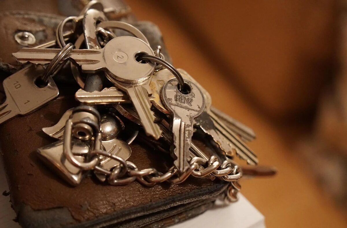 Фото: congerdesign / pixabay.com