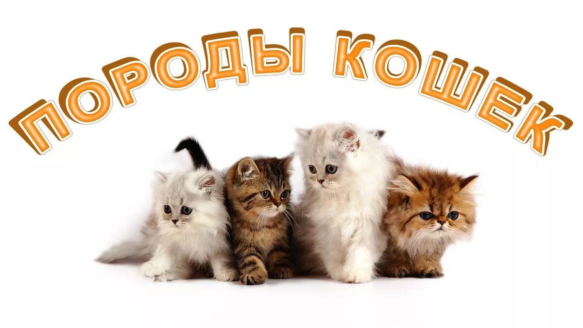 свобод.источник.