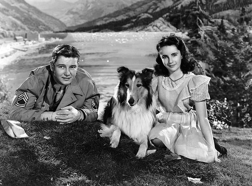 "Лесси возвращается домой"