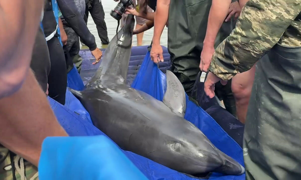    Фото «Кубань 24»