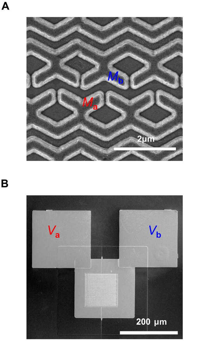    (A) СЭМ-изображение метаповерхности. Мета-атомы Ma и Mb изолированы друг от друга сухим травлением. (B) Полное изображение созданного устройства. Электрод Va присоединен Ma,Vb — к Mb. / © Science Advances (2025). DOI: 10.1126/sciadv.adw8852