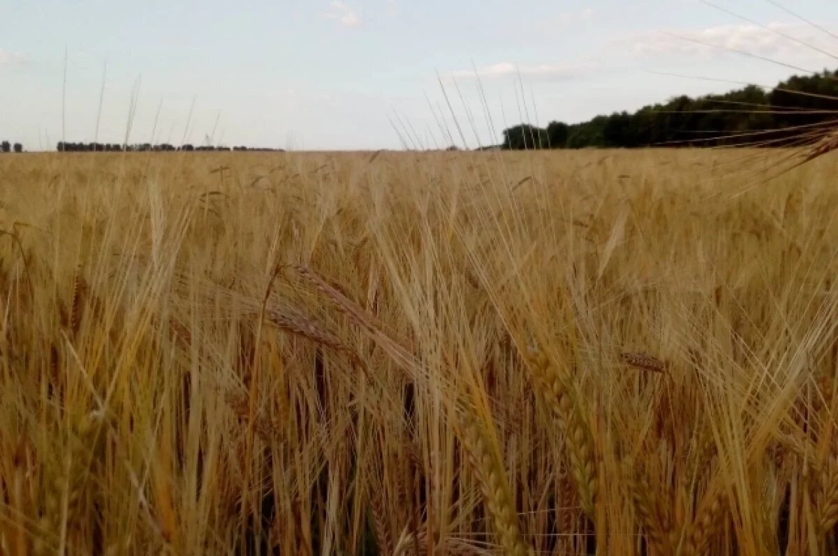    В Тверской области почти 500 участков стали менее рискованными