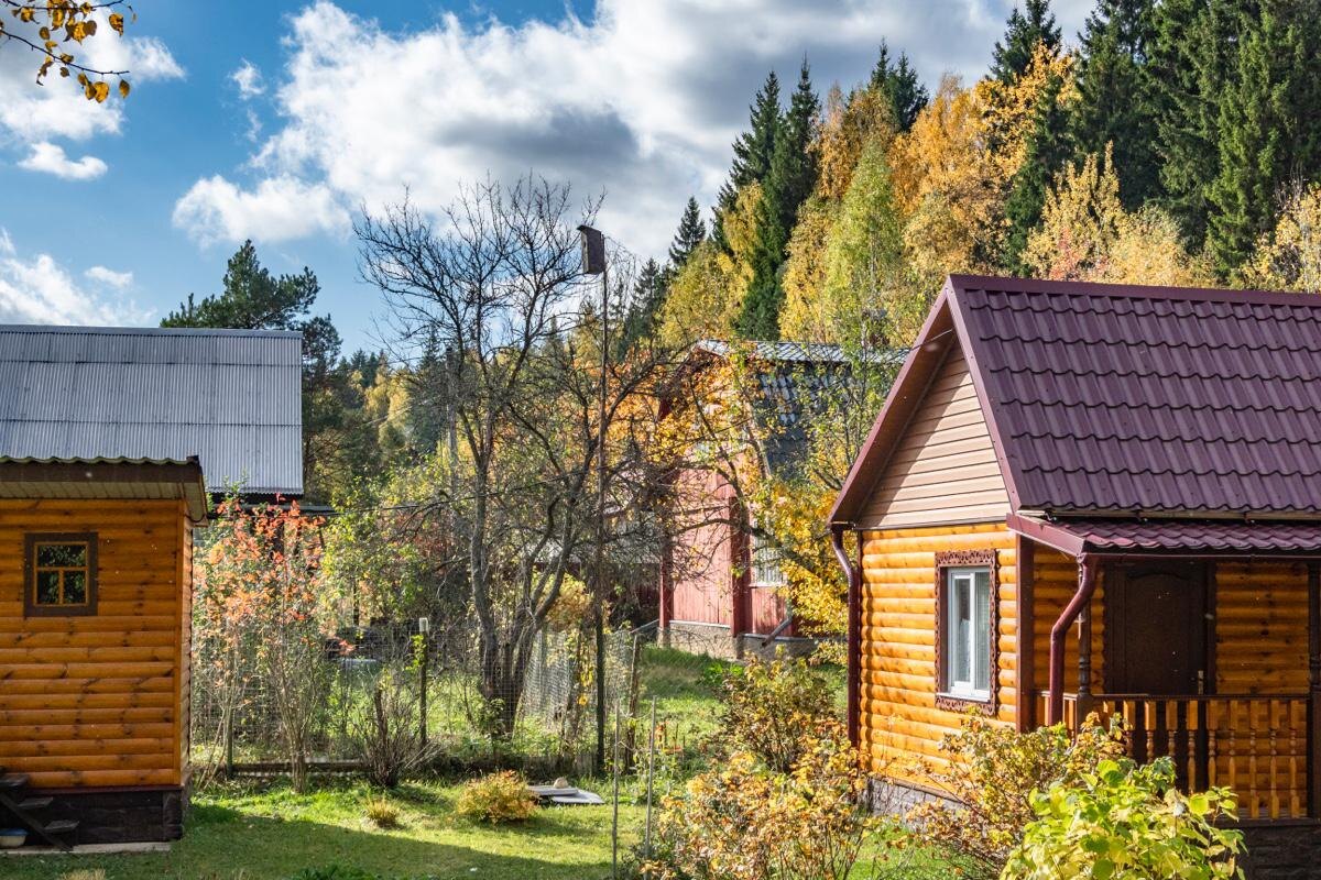    Константин Кокошкин / Global Look Press