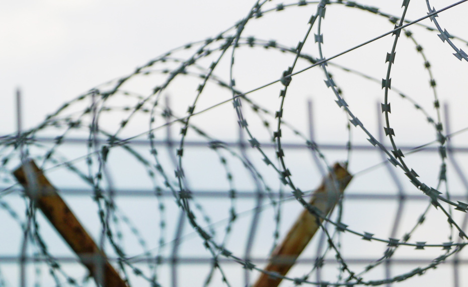    Алексей Белкин/NEWS.ru