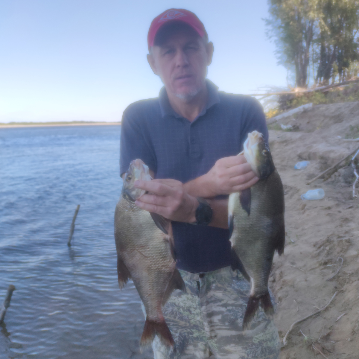 Пойманные лещи в этот раз были "зачетными" 